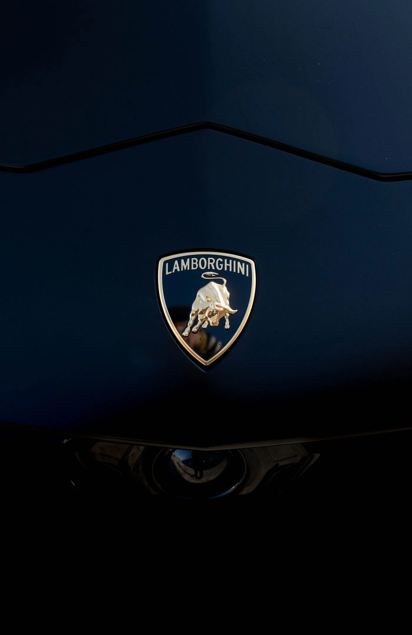 Lamborghini Urus badge detail on dark blue wrap in Ottawa